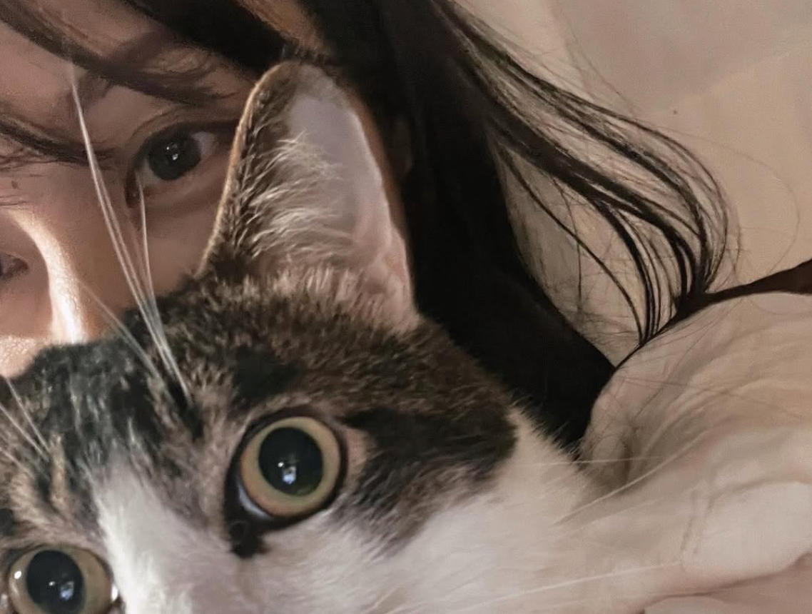21歳年下の“猫彼”が扉越しに心配？山本萩子がほっこり愛猫との日常を披露