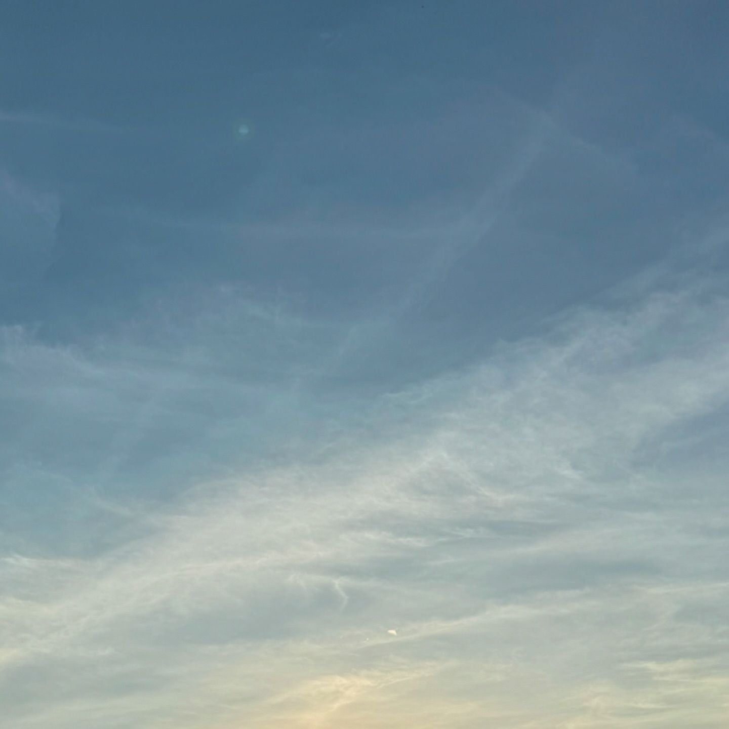 人気YouTuberとうあ「毎日毎日胸が苦しくて、辛くて」 突然のSNS更新停止後に愛犬との別れを報告