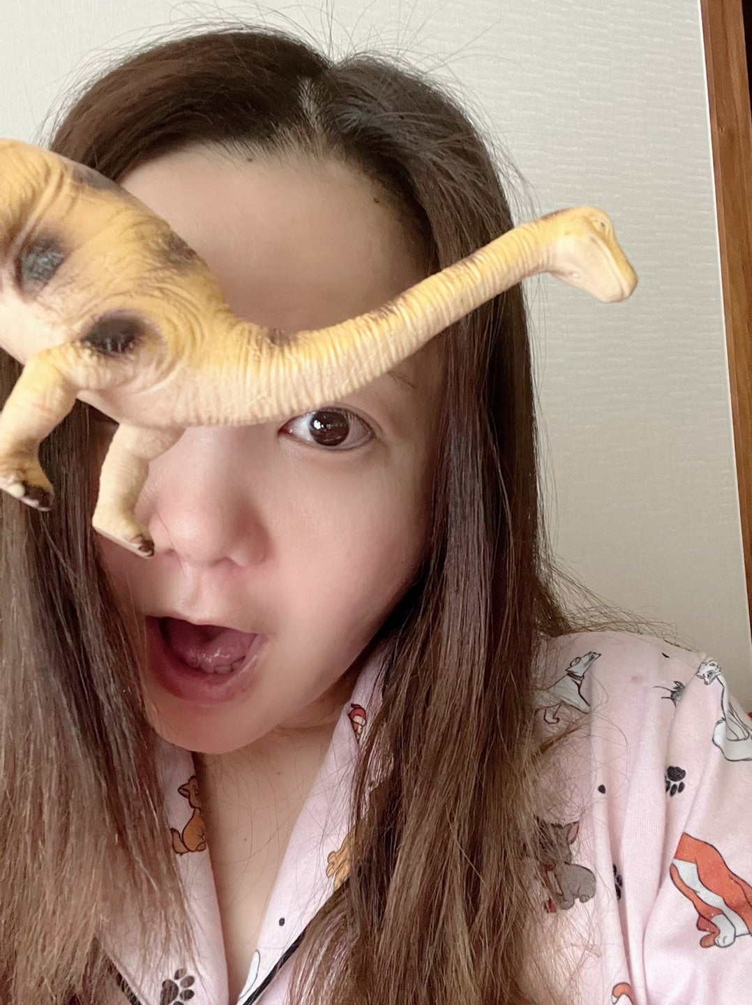 🌈華原朋美さん、息子が寝る間に恐竜に変身🦕「がおおおおおお」