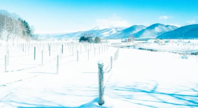 「衝撃の青冬」SixTONES・京本大我 青に染まる世界が美しすぎる！「絵画のようで素敵」と話題に！