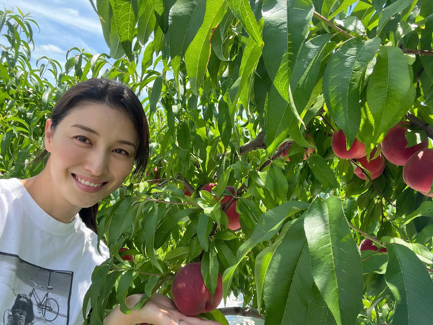 橋本マナミさん、息子と桃狩り🍑🌟「おっきいのを採らせていただきました(^.^)」