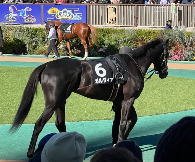 宮川一朗太、クセのある愛馬に「乗ってくれる騎手、大募集!!」と呼びかける