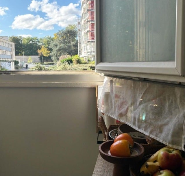 猫沢エミが久しぶりの青空を楽しむ！柿はフランスでもkaki！