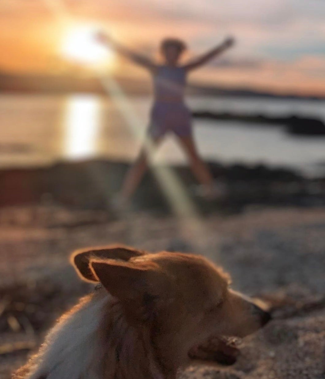 さんまの娘がエモすぎる写真を投稿