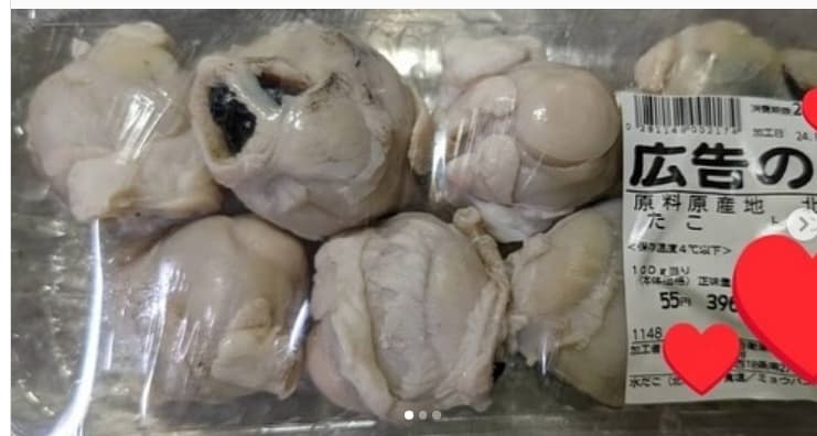 スギちゃん　未知の食材に挑む！たこのトンビをワイルドに楽しむ方法