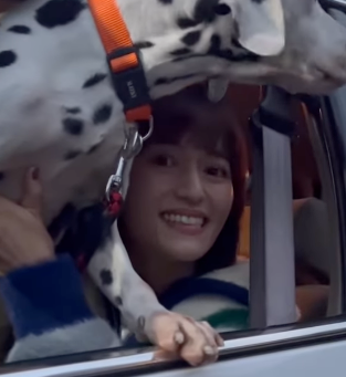 シンガーソングライターiri、ダルメシアンとの動画が話題「ダルちゃん可愛い」