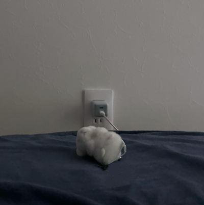 解散を発表した超人気アイドルの意味深投稿でファンからは心配の声。