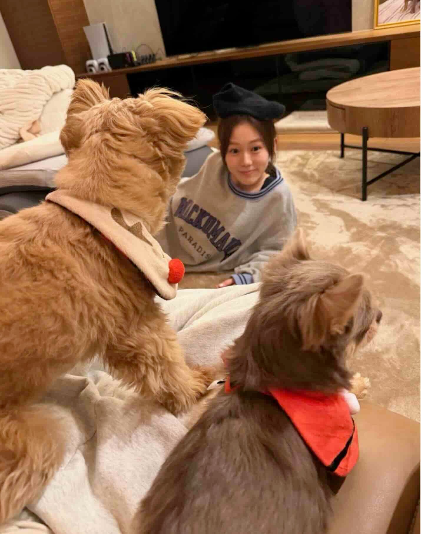 川口葵が愛犬とクリスマスを満喫、武尊が微笑ましいコメント