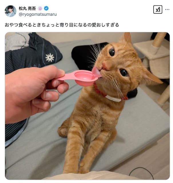 松丸亮吾が愛猫の近況を公開！「おやつ食べるときちょっと寄り目になるの愛おしすぎる」