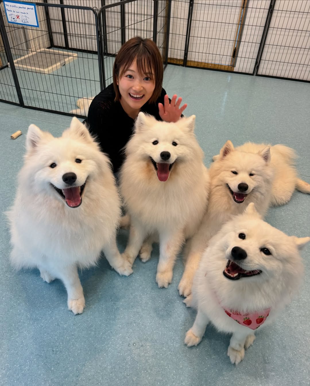 真っ白モフモフの動物と戯れリフレッシュ！キュートな陸上選手の休日ショットにコメント集まる