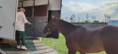 馬術・大岩義明が相方のお馬さんを見送る動画を公開「帰ったら休養と人参が待ってるよ！」