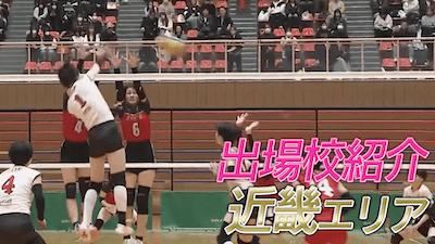 【春高バレー2026出場校紹介】近畿地方女子代表の全8校を紹介