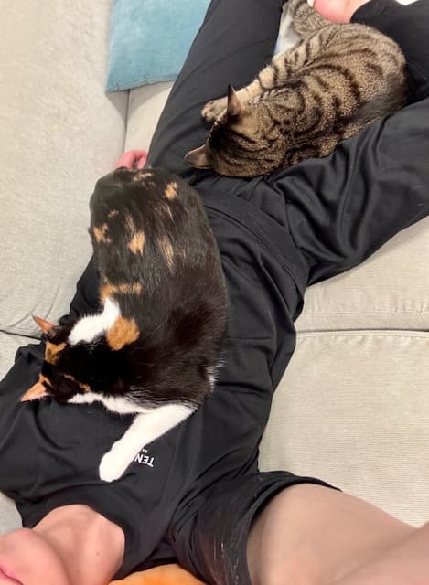 「俺型のベッド出そうかな」SnowMan・佐久間大介が愛猫に囲まれる