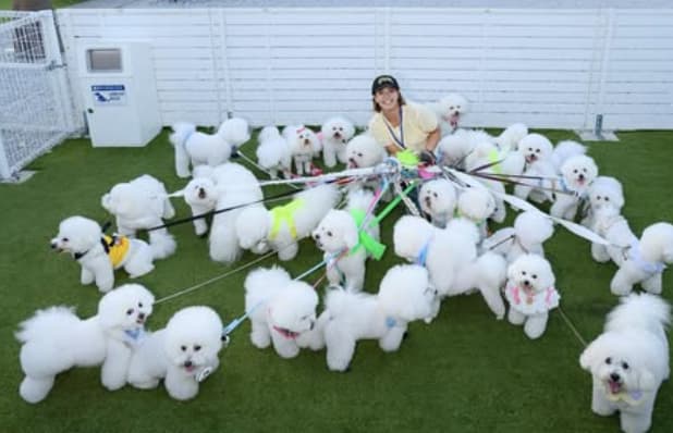 阿部詩がもふもふ会に参加！愛くるしすぎるショットを投稿！