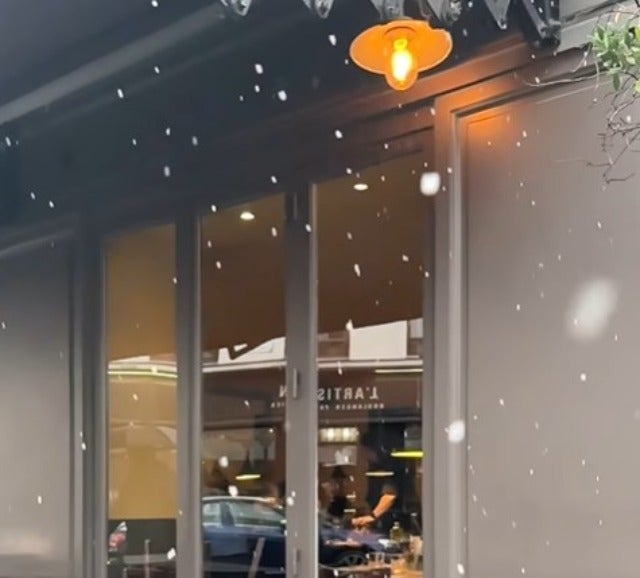 猫沢エミがパリで初雪を見ながらレミオロメンの『粉雪』の替え歌を歌ってみる！