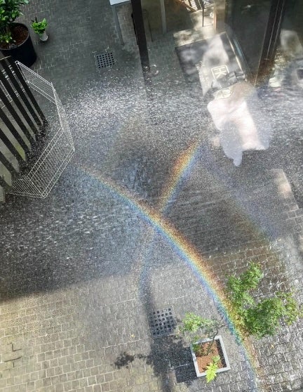 虹が3本!?あの歌手はミラクルショットも公開。