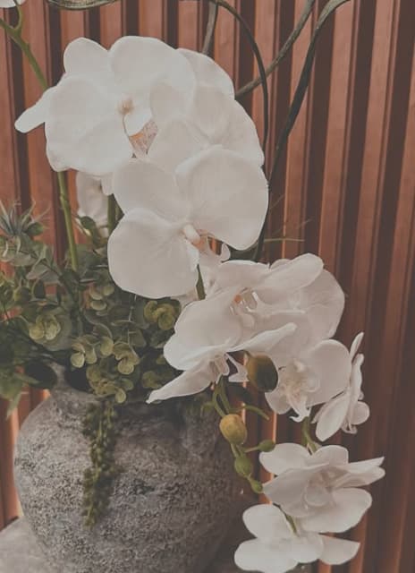 timelesz・松島聡 〇〇の写真を披露！綺麗だと話題に！