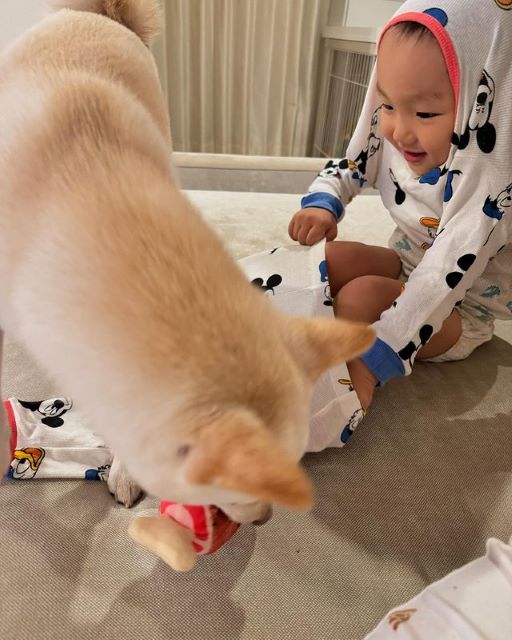 「ヤミテ！モウイイヨ！」かまいたち山内の愛犬