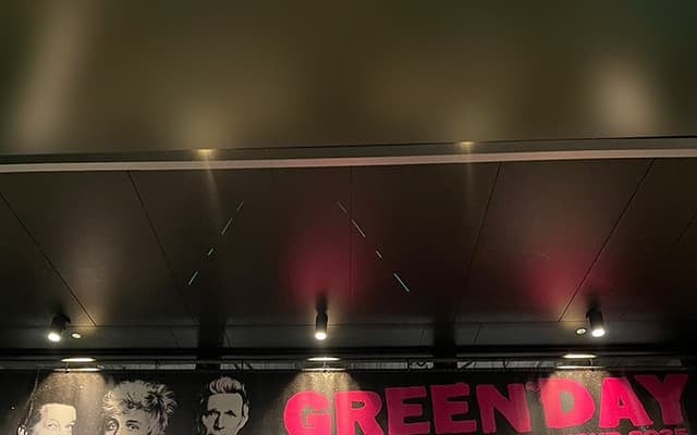 「終始刺激とエネルギーをいただきました〜」水樹奈々、GREEN DAYのライブに大興奮！