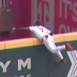 普通なら諦めるよ！？ブレーブス のプロファーによるとんでもないホームランキャッチ MLB Japanより