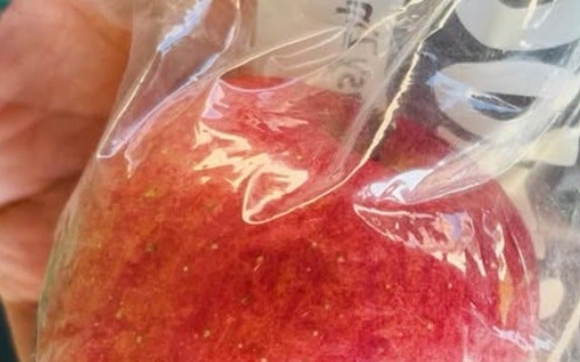 にしおかすみこが丸ごと持ってきたりんごを持て余す！