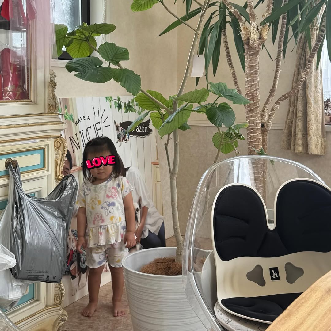 「ラッキー」北斗晶の自宅に可愛すぎる“座敷童子”が出現！？