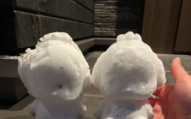 AKB48下尾みう、家族から届いた雪のポチャッコに感動「地元の山口県雪降ったみたいですね」