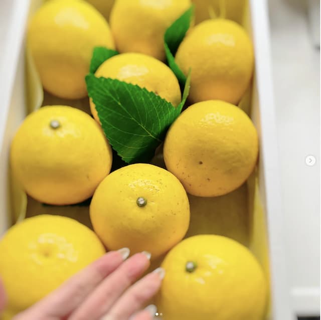 小林幸子が友人からもらった日向夏を公開！食べるだけではない活用方法も