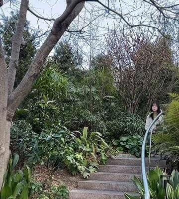 「素敵なご猿に感謝です」NMB48メンバー、ゴリラの真似からまさかの書籍発売へ！クセつよ動画で告知