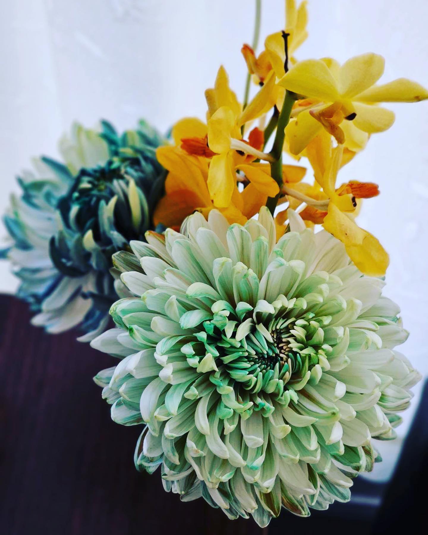 第一子妊娠中の土屋太鳳 体調管理に不安の声🤱💭「お身体大切に過ごしてくださいね🍀」