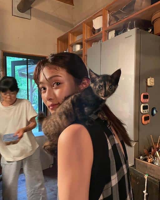 井上咲楽の新猫が可愛いと話題に…❗️👀  ファンからは「飼い主に似て、超キュート😆」