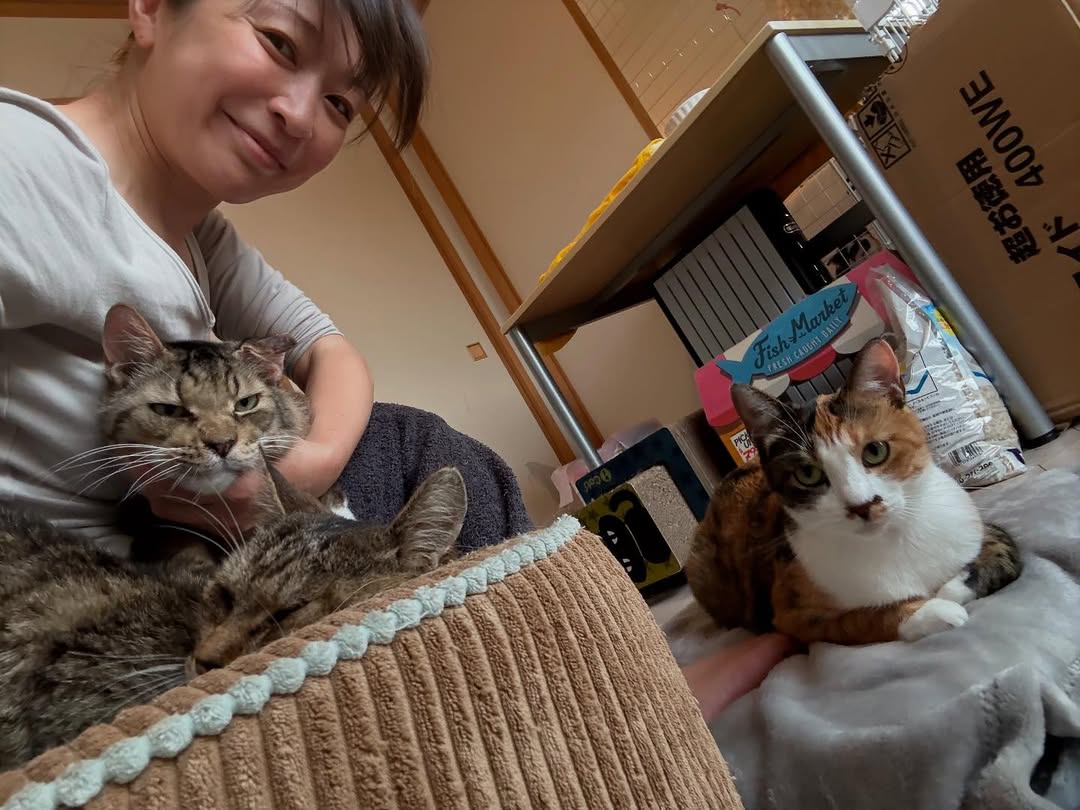 「こんな日が来るとは…」元癒やし系グラビアアイドル、愛猫たちと少しづつ距離が縮まる幸せ！