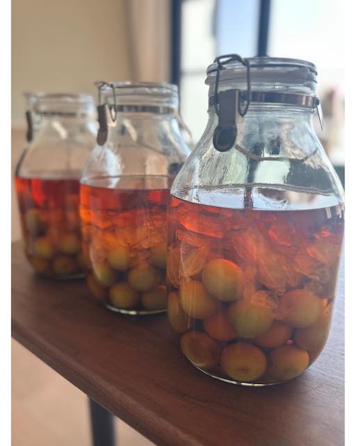 佐々木希の自家製梅酒が完成「いつか子供と...」