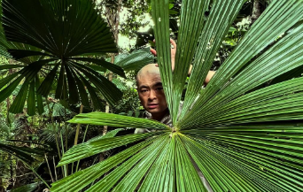 「さっぱりしたインディ・ジョーンズ!?」あばれる君、世界最古の熱帯雨林で大冒険！