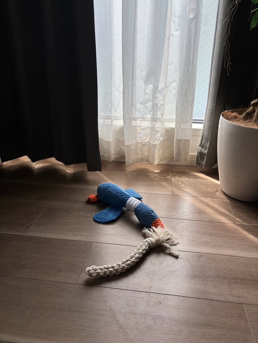 ウマ娘声優の「いぬらいふ」ショットが「微笑ましい」と話題