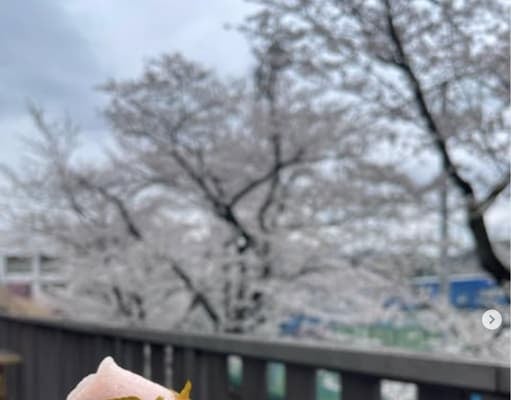 矢野謙次が桜と和菓子のツーショット写真を投稿！充実の時間を過ごす