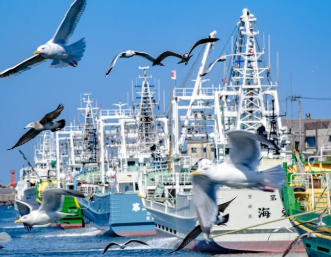 カモメとウミネコが主役！？銚子漁港で春の訪れを感じる風景！