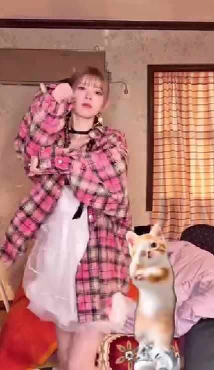 「ハズレがないってこういうこと」NiziUの“猫化”にネットがざわついた