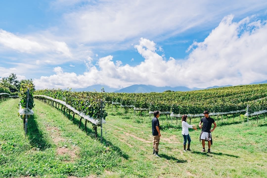 感嘆！中田英寿が見つけた「天空のワイナリー」山梨の絶景に息を呑む！！