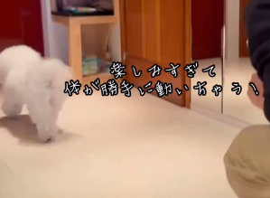 「やっぱり行くよね！」槙野智章、愛犬・パンちゃんの“幼稚園デー”にほっこり！