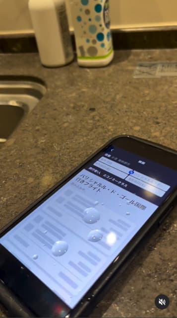 「スマホあるある」土井レミィ杏利、お茶目インスタ投稿が話題