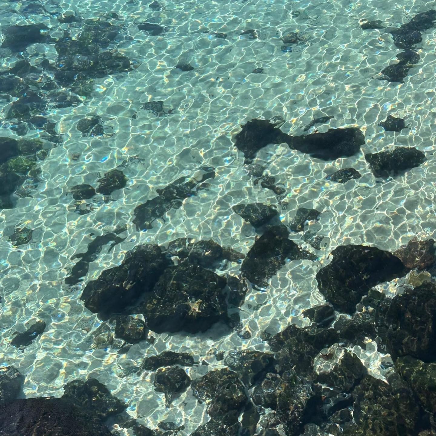 SEVENTEENのミンギュが家族旅行の様子を公開🌟