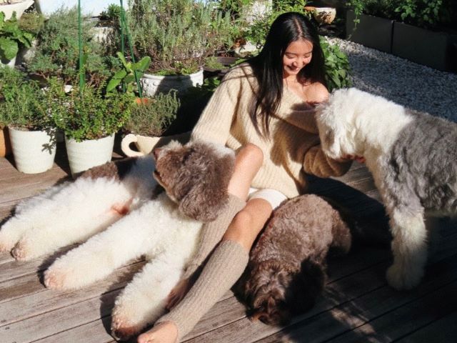 koki、肩出しニット姿で犬と戯れるショットがかわいいと話題に👀