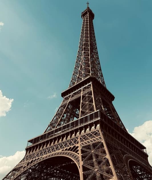 三田友梨佳　選手たちの努力に心打たれて、日本から最後まで応援