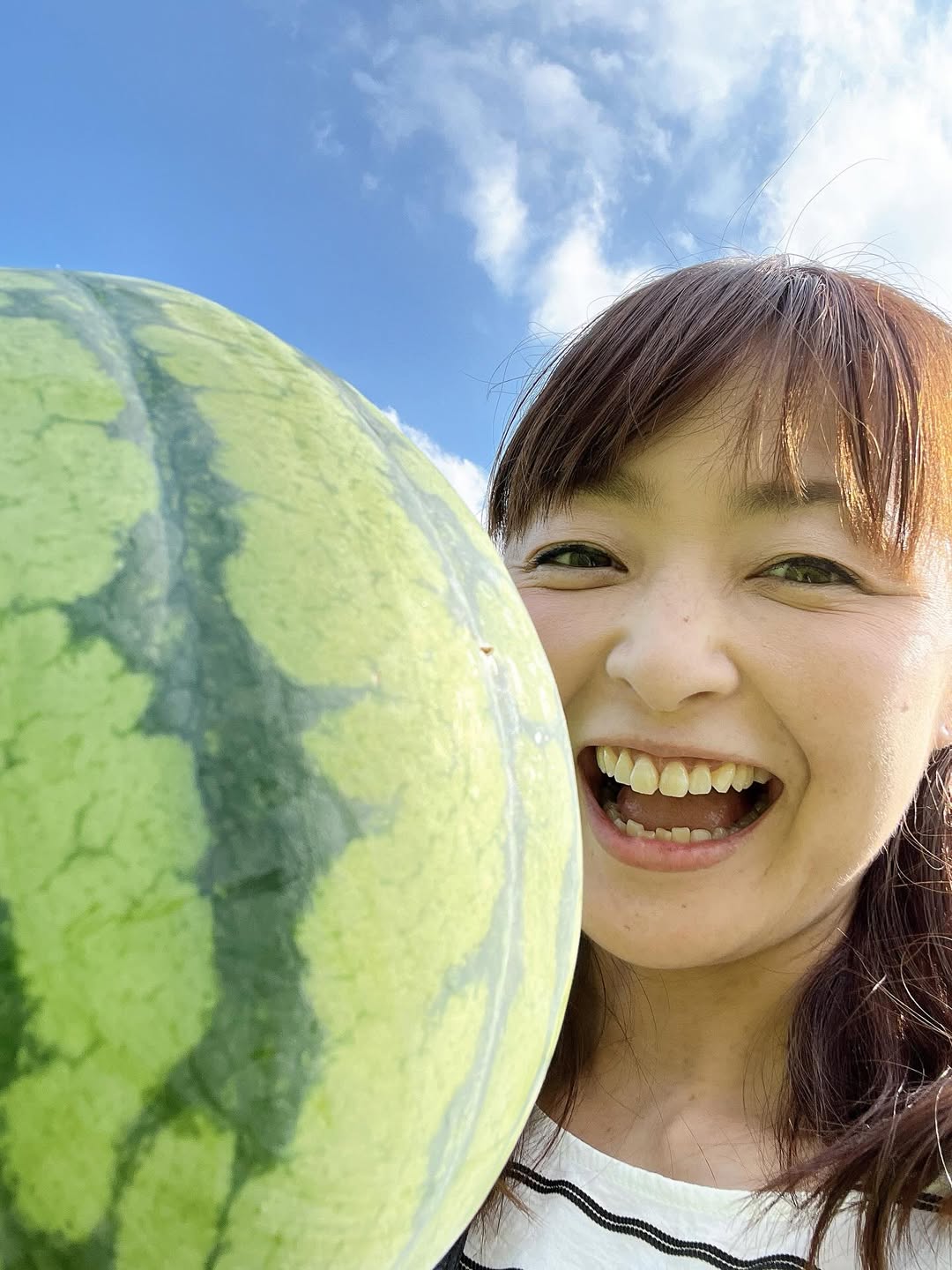 タレント兼リポーター・熊谷奈美、2度目のスイカ収穫！先々週に初めて収穫してみたときは、早くて中身がまだ白かったが...？