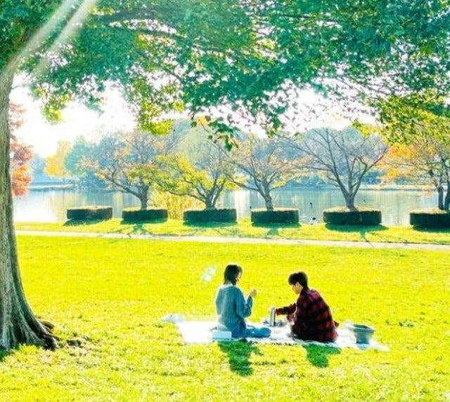 「また一つ人生の宝物が出来ました」比嘉愛未がドラマ『フォレスト』の最終回を報告