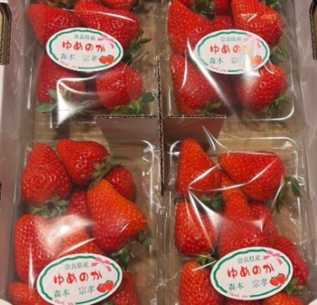 「甘くて美味しかった〜！」ハイヒール・モモコが奈良のいちごを堪能！