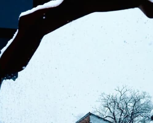 SixTONES・京本大我の感性にファンも感服！「大我くんの写真を見てると世界が広がるね」