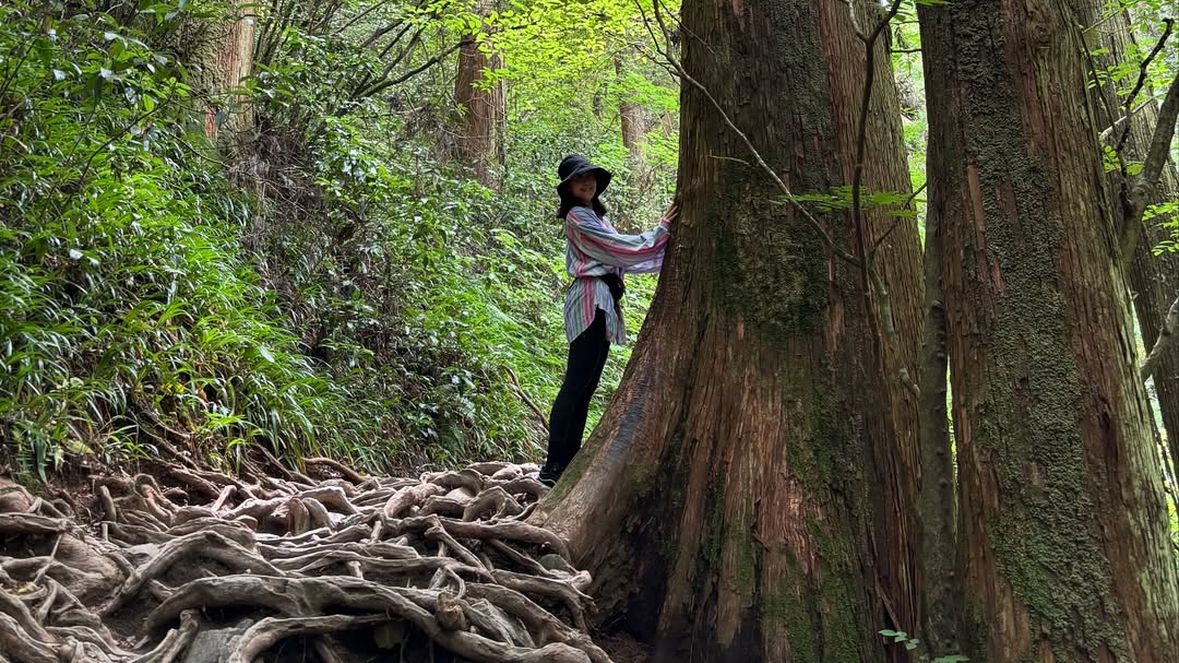 浅田真央、初の高尾山へ――6号路で味わう自然の魅力