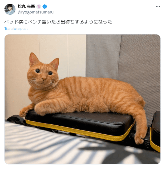 「いつも側にいたいんですね」松丸亮吾、愛猫の“出待ち”をファンに報告